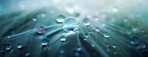 Planeación estratégica empresa de biocombustibles